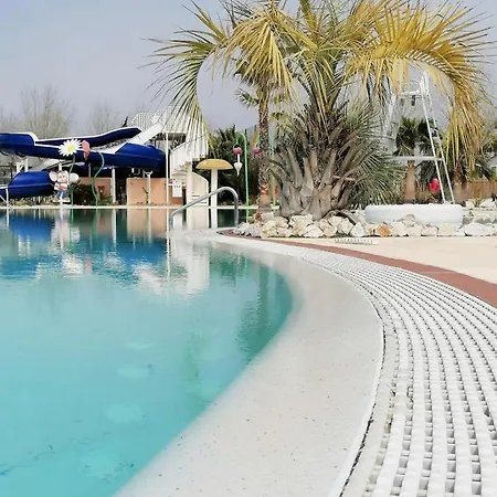 Dream Holidays *